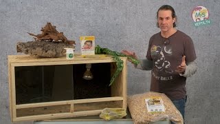 Reptil TV  Folge 75  DIY Reptilien Holz Terrarium [upl. by Kcirted]