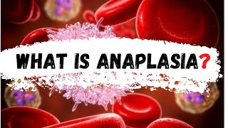 What is Anaplasia  Anaplasia [upl. by Adao]