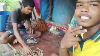 पगोलिच्या चिंबोरया आणि धम्माल कॉमेडी विडीओ 🤣🥲dinesh mhatre vlog [upl. by Yerhcaz]