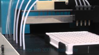 Automated ELISA System Crocodile automating a Corticosterone Assay [upl. by Lewanna]