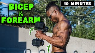 10 MINUTE LIGHTWEIGHT DUMBBELL BICEP amp FOREARM WORKOUT [upl. by Aneerehs800]