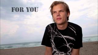 Avicii  Hey brother lyrics [upl. by Etteval386]