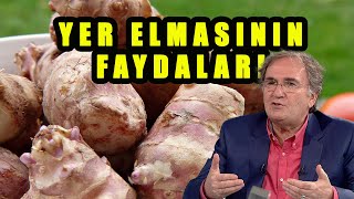 YER ELMASININ FAYDALARI  Yer Elmasının Zararları ve Yan Etkileri [upl. by Jonna]