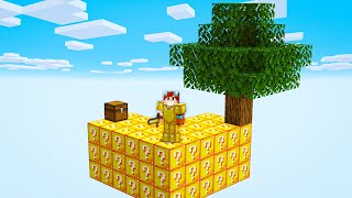 SKYBLOCK de LUCKY BLOCK [upl. by Akinas]