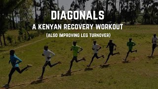 Diagonals  A Kenyan Recovery Workout [upl. by Laud]