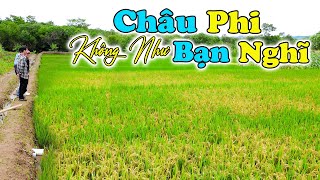 Đông Paulo  Nông Trại Số 4 Qua Chuyến Thăm Của Người Việt Nam Đã Làm Nông Nghiệp Lâu Năm [upl. by Dnaleel]