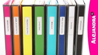 Binder Organization with Better Binders from Staples [upl. by Diane]