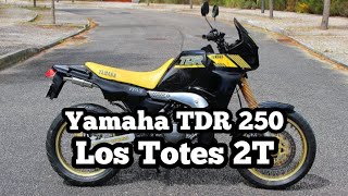 Yamaha TDR 250 la JOYA del 2 TIEMPOS que patentó un nuevo estilo en las motos Lostotes2t [upl. by Hiroshi558]