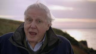 Cambrian Explosion  First Life with David Attenborough [upl. by Frum]