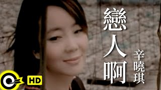 辛曉琪 Winnie Hsin【戀人啊】Official Music Video [upl. by Zelazny]