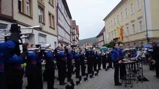 Marchingband Dietemann 2016  quotGeiles Lebenquot [upl. by Aivon911]