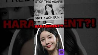 Kwon Eunbis Cat Fantasy Endorsement Exploitation or Opportunity kpopnews kwoneunbi eunbi [upl. by Anirdua]