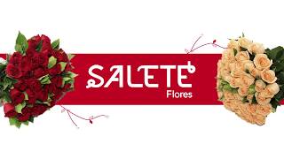 Salete Flores [upl. by Eilyr]