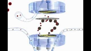 Ultrafiltrationflv [upl. by Thaddeus]