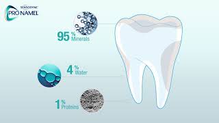 What Is Tooth Enamel  Pronamel® Toothpaste [upl. by Hum891]