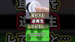 耳かき音を逆再生してみた【ASMR】Reverse playback of ear cleaning sound [upl. by Issej]