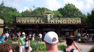 Walking into Disneys Animal Kingdom Entering the Park Walt Disney World 2011 HD [upl. by Harrad271]