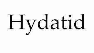 How to Pronounce Hydatid [upl. by Anaiq154]