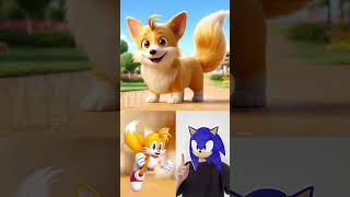 Sonic characters as Dogs sonic amy tails knuckles shadow eggman [upl. by Seravart]