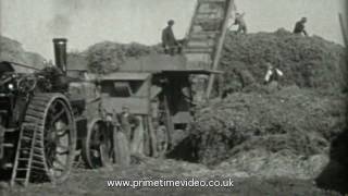 Working tractors and machinery video  Lincolnshire [upl. by Radbun]