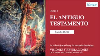 VISIONES Y REVELACIONES DE ANA CATALINA EMMERICK TOMO 1 ANTIGUO TESTAMENTO capítulos 21 a 30 [upl. by Carlie]