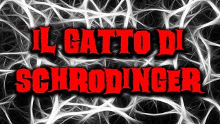 Il gatto di Schrödinger intrappolato nel paradosso  Creepypasta [upl. by Noletta]