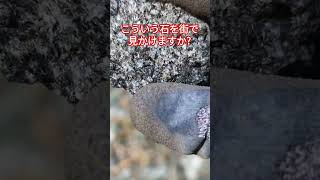 【鉱物採集】鉱山の石です。鉱石採集 鉱山 [upl. by Barimah891]