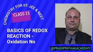 Class 11 Basics of Redox reaction  Oxidation no for IITJEE NEET [upl. by Vina]