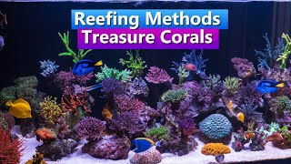 Reefing Methods  With Treasure Corals [upl. by Eutnoj]