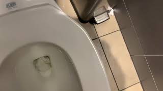 Pathetic Zurn toilets at McDonald’s [upl. by Aiynat]