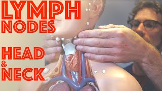 Clinical Examination of Head and Neck Lymph Nodes  Clinical Skills  Dr Gill [upl. by Llorre]