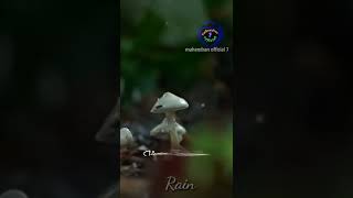 adai mazhai varum athil nanaivomae🌧️🌩️🌨️ rain [upl. by Vanda]