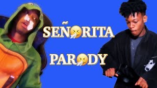 SEÑORITA PARODY  I GOT A FEVER  Kidrl [upl. by Vlad]