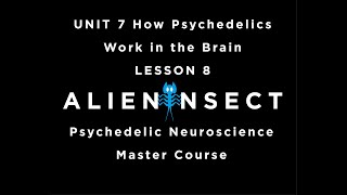 Psychedelics and the Brain Master Course UNIT 7 How Psychedelic Drugs Work in the Brain LESSON 8 [upl. by Aldredge662]