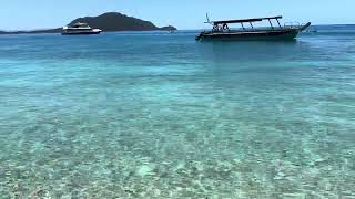 Fitzroy Island amazing travel australia [upl. by Maidel]