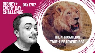 The African Lion TrueLife Adventures  day 1757  Disney Every Day Challenge [upl. by Nitnert]