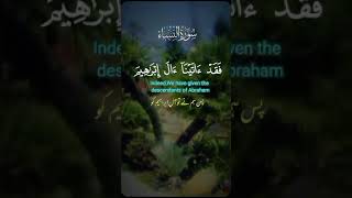 Quran Recitationsallah muhammadunfreezmyaccount youtubeshorts youtubeshorts islam quran dua [upl. by Qifahs]