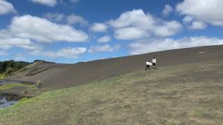 Auckland  Bethells Beach Sand Dunes [upl. by Hobard]