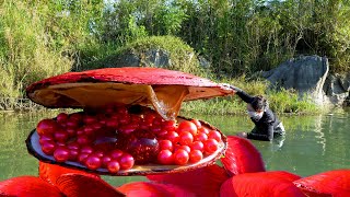 😱🎁Pry open the giant red clam and the pearls inside are gorgeous and charming extremely beautiful [upl. by Fang]