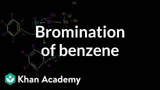 Bromination of benzene  Aromatic Compounds  Organic chemistry  Khan Academy [upl. by Enileda]