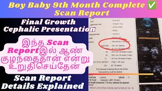 Boy Baby 9th Month Scan Report in Tamil  Boy Baby Complete ✅ Scan Report  Third Trimester Scan [upl. by Adim]