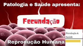 Reprodução Humana Fecundação [upl. by Ario358]