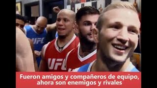 UFC 217 Cara A Cara  Garbrandt vs Dillashaw [upl. by Anaehs]