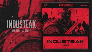 Industeak  Industrial Sense CR019 [upl. by Pentha]