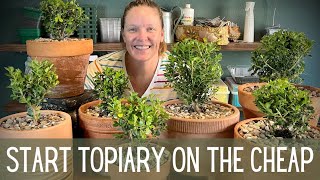 How To Start Topiary On The Cheap 🌲🌲  Topiary Basics  How To Make A Topiary  Topiary Tutorial [upl. by Ellison86]