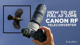 How to get Full AF Zone CANON RF Teleconverter [upl. by Eninnaej489]