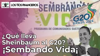 ¿Qué lleva Sheinbaum al G20 ¡Sembrando Vida  LosTíosFinancieros [upl. by Nosnarb481]