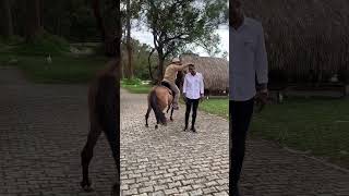 Álvaro Uribe recibe a Yerry Mina en su finca en Rionegro [upl. by Royal]