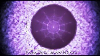 Micro cymatics experiment with a sonicallyexcited sessile water drop [upl. by Aiciruam]