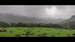 Kamshet waterfall puneshorts trending travel foodie nature [upl. by Varien396]